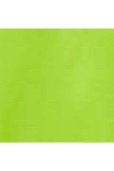 LC Waikiki Hooded Basic Boy's Raincoat