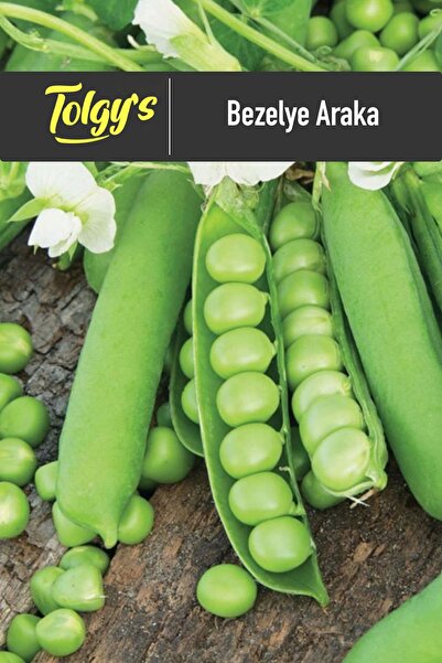 Tolgys Bezelye Araka Tohumu / 25 + Adet Tohum