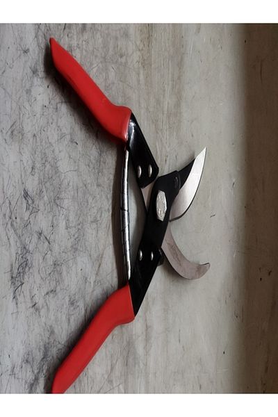 Baby Turco Pruning - Comfortable Fit and Stylish Design