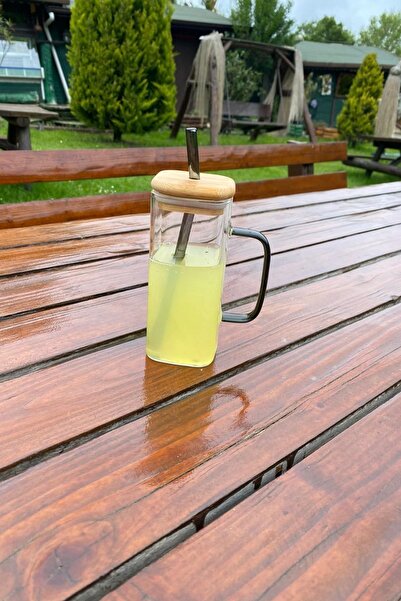 PİNK DESİGN KİTCHEN Heat Resistant Bamboo Lid Glass Square Cup with Straw