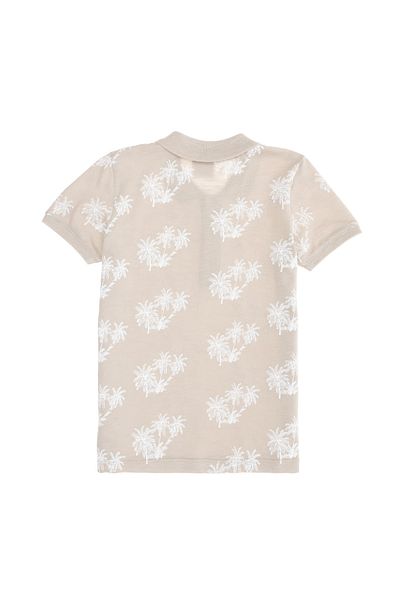 U.S. Polo Assn. Τυπωμένο γκρι μπλουζάκι για αγόρι Veronakids