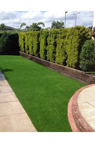 Imported Grass Seed Special 6-Piece Mixture Pressure Resistant Germinates in 7 Days 1.5 Kg