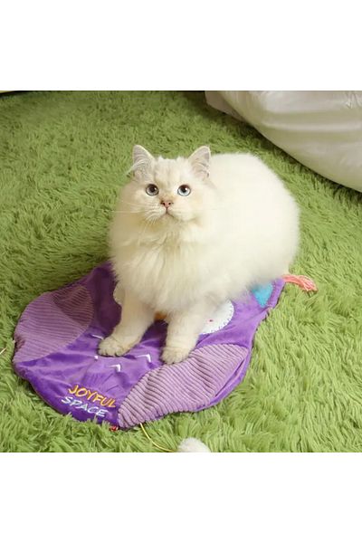 Gigwi 7326 Cat Play Mat with Catnip