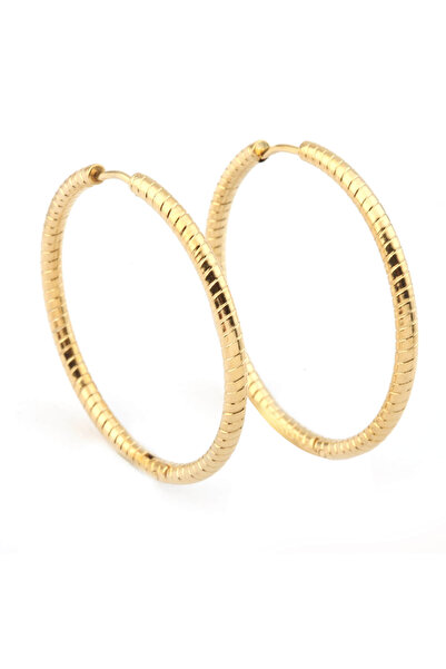 Welch Kadın Çelik Küpe KP-A2795