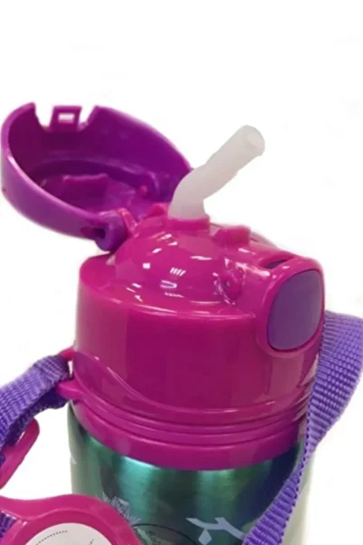 Hakan Çanta Frozen 78597 Girl's Steel Flask 500 ml /