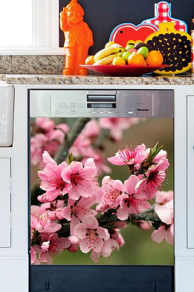 Tilki Dünyası Pink Flowers on a Branch Dishwasher Door Sticker