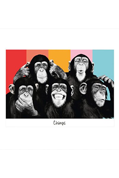 Cakatablo 25εκ.Χ35εκ. Ξύλινος Πίνακας 5 Πίθηκοι