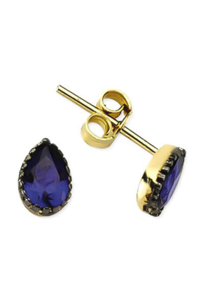 Glorria Kadın Altın Damla Küpe VK0413