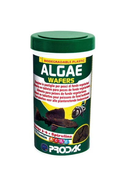 Prodac Algae Wafers Bitkisel  Vatoz Balık Yemi 100 ml 50 gr