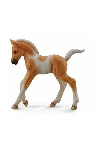 Collecta Yavru Pinto Palomino Atı
