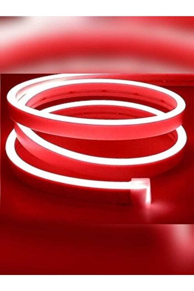 Erdem neon led Neon Led 12 V Kırmızı Renk Şerit Led Trafolu Tak Fişe Calistir 1 Metre