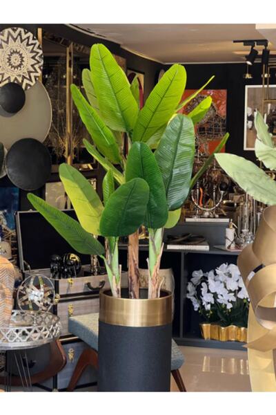 KAYAX Metal Gold Siyah Saksılı 200 Cm Yapay Muz Ağacı Yapay Ağaç