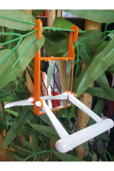 EDDAPETMARKET Mirrored Perch Swing Budgie Toy