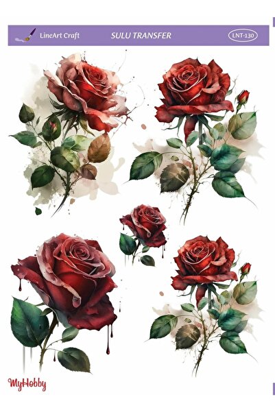 LİNEART Sulu Transfer Myhobby Lnt-130 25x35cm