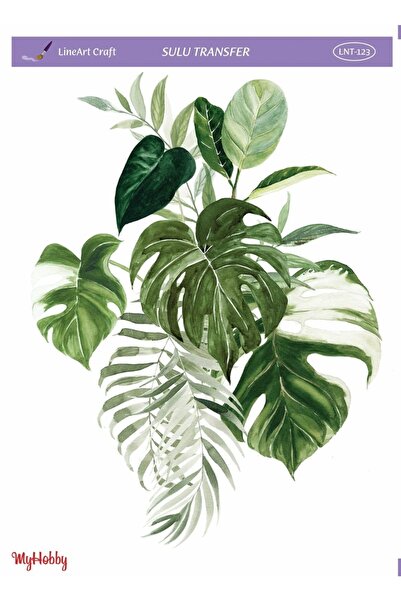 Genel Markalar Sulu Transfer Kağıdı Lnt-123 25x35 Cm