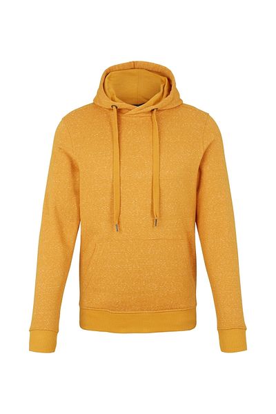Tom Tailor Kapuzensweatshirt Hoody mit Kapuze und Streifen