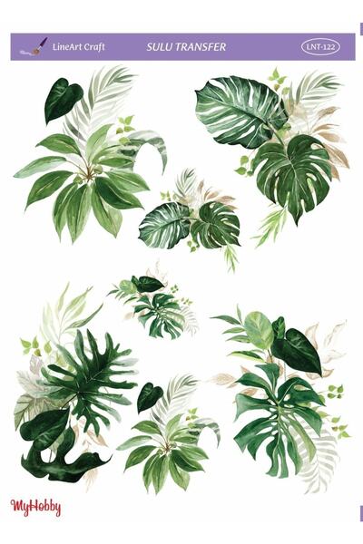 LİNEART Sulu Transfer Myhobby Lnt122 25x35cm