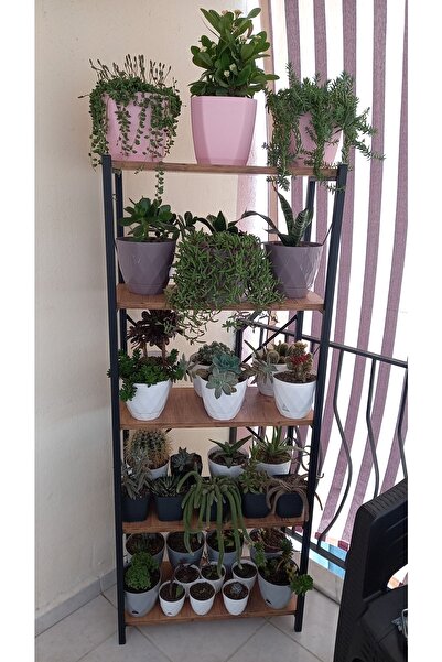 Cosargroup Dekoratif 5 Raflı Metal Çiçeklik Saksı Standı Saksılık Atlantikçam...