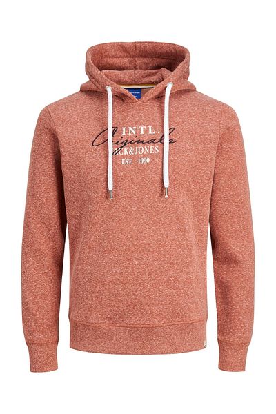 Jack & Jones Kapuzensweatshirt Willowbranding Hoody mit Kapuze