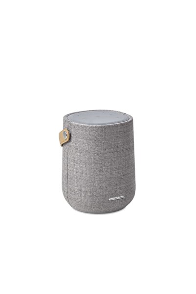 Harman Kardon Citation 200 - Gray Portable Bluetooth Speaker
