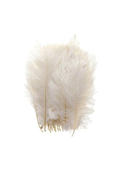 GÜLSEMALİ 100 Adet Kuş Tüyü Nikah Şekeri Nişan Yelpaze Süsleme Malzemesi Krem