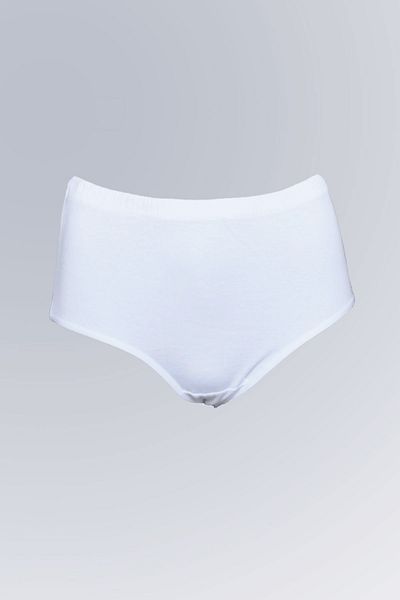 MK 21 Plus Size High Waist Mother's Panties