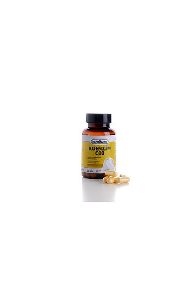 Raşitoğlu Co Enzyme Q10 (if the Project Is Content:) Sixth-Order Support Moddi 80 Plus Weight 78-79 cm Dimensions