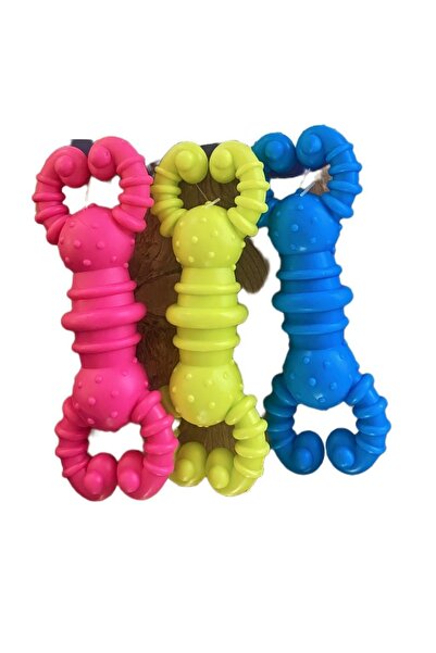 BRN Petshop Renkli Diş Kaşıma Oyuncağı