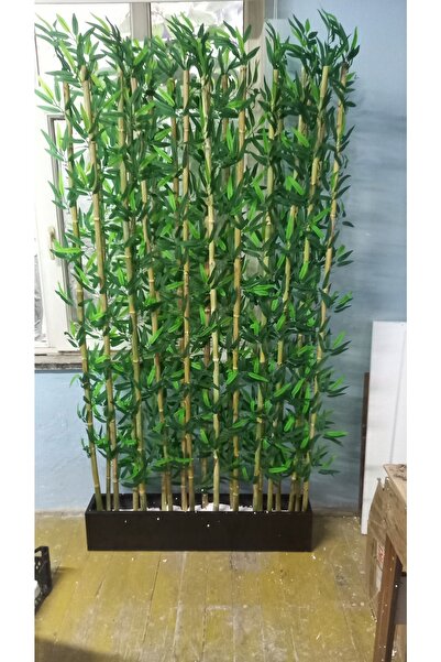 ERHAN FLOWERS Bambu Speratör 100 Cm Saksıda 20 Adet 180 Cm
