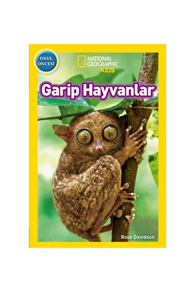 Beta Kids Kitap GARİP HAYANLAR Garip Hayanlar