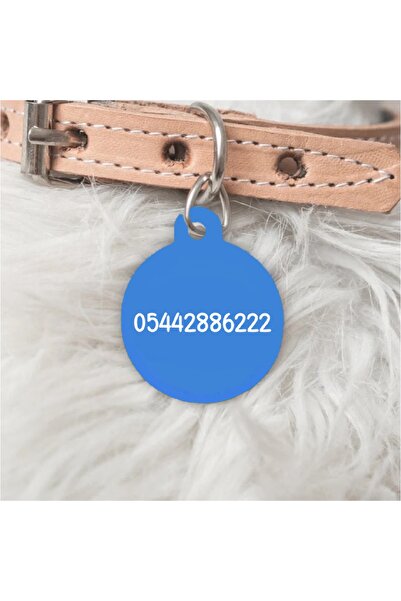 PATİMİO Isme Özel Çelik Kedi Köpek Isimlik Künyesi Mavi Renk