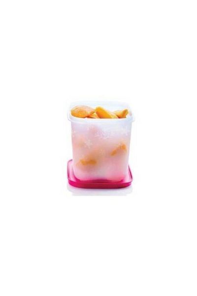Tupperware 1 Alaska Storage Container