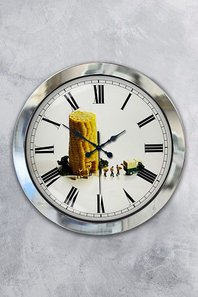 Kasva Concept Gift 36 cm Chrome Metal Corn Wall Clock