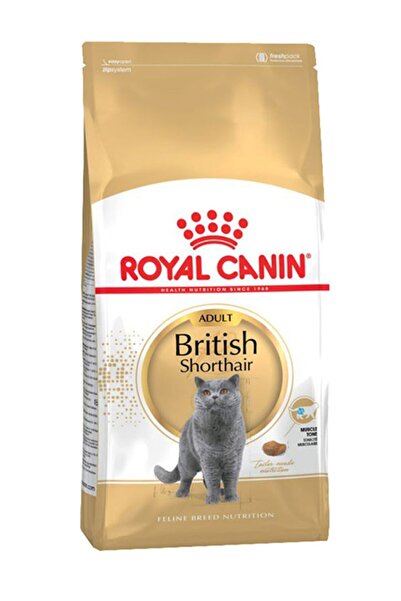 Royal Canin British Shorthair Adult Yetişkin Kedi Maması 4 kg