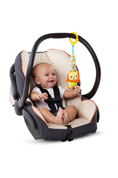 Bright Starts Chime Along Friends Toy Assorted /