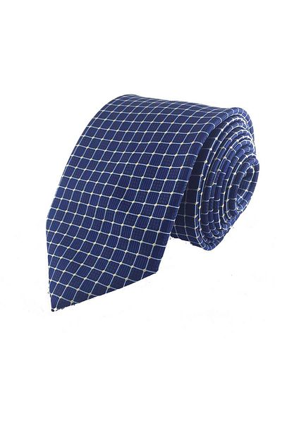 Brianze Men's Light Blue Checked Saks Blue Necktie with Handkerchief 444GKC014