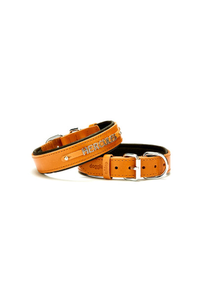 Doggie Yumuşak Dokulu İsimlikli Köpek Boyun Tasması Kamel SBT-3014