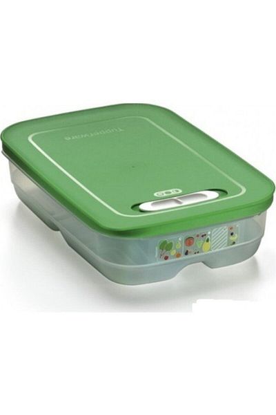 Tupperware Greenhouse1.8