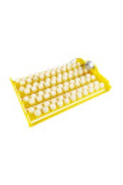 Efe Kuluçka 88 Bıldırcın Yumurtası Viyol Motorsuz