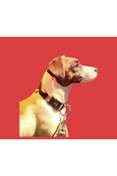 Lino Adjustable Neck Collar