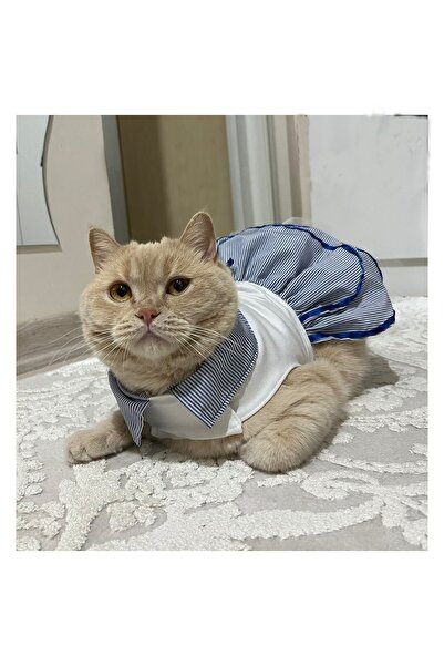 Gobo Denizci Mavi Yakalı Kurdeleli Dişi Kedi Köpek Kıyafeti Elbisesi Large/l/...