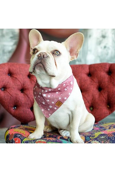 Lusi Doog Starry Dog Bandana - Scarf