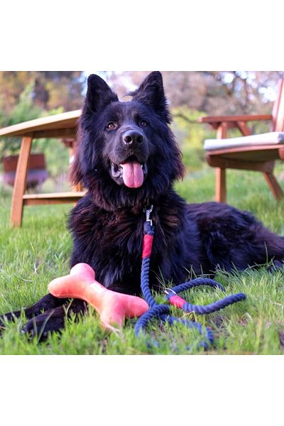 Lusi Doog Navy Blue Dog Walking Collar (Red Detail) Dog Walking Strap Natural Cotton Rope Rope