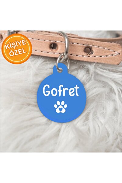 PATİMİO Isme Özel Çelik Kedi Köpek Isimlik Künyesi Mavi Renk