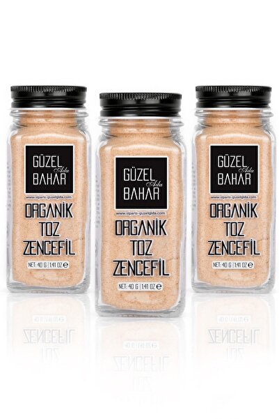 Güzel Ada Gıda Organik Toz Zencefil 3x40 gr
