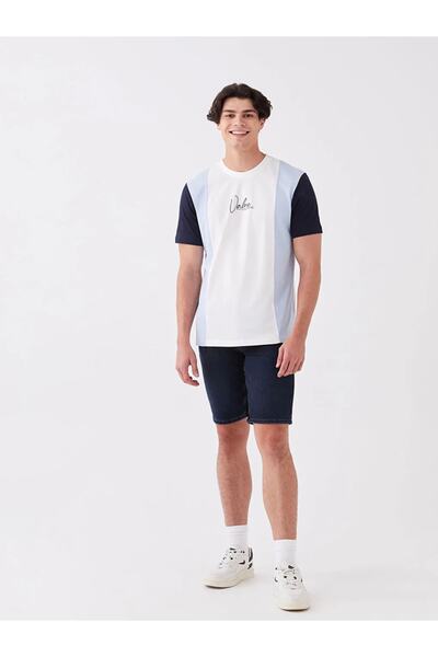 LC Waikiki Lcw Casual Bisiklet Yaka Kısa Kollu Renk Bloklu Penye Erkek Tişört
