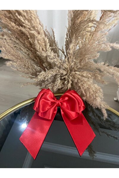 entrend Büyük Kırmızı Kurdele Fiyonk Toka