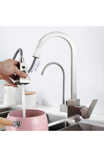 OEM Kitchen Sink Faucet Dual Flow New Bass Check Water Purification Spout with Fountain Nickel Imported