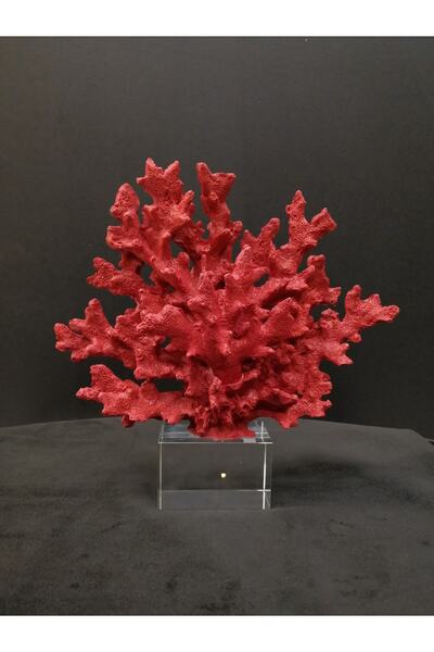 SKOLDECOR Kristal Kaideli Mercan Kırmızı 25 Cm