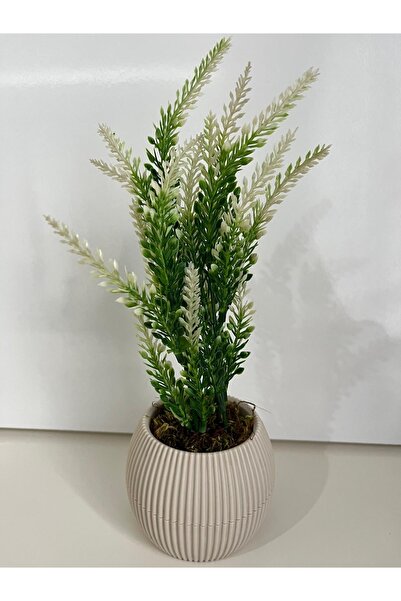 Trend KenT Mini Saksıda Yapay Çiçek Yeşil Beyaz Lavanta Demeti Gerçek Yosunlu...